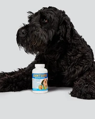 Jointsure joint tablets dog premium joint capsules 60 tablets with glucosamine joint powder & green lip shells for improved mobility & joint health in dogs - product information 9