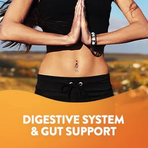 Nutrivein Premium Liposomal Vitamin C 1650mg - 180 Capsules - Digestive System & Gut Support