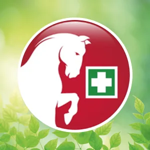 Boots Devil's claw for horses 100% natural devil's claw support for joint tendons and cartilage health pellets 1kg - Stiefel - Von Tierärzten und Therapeuten empfohlen