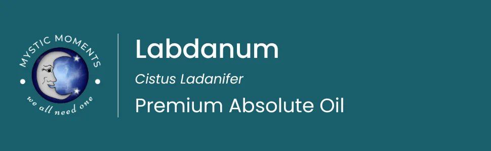 Mystic moments absolute oil 100ml - Labdanum - Absolutes Öl