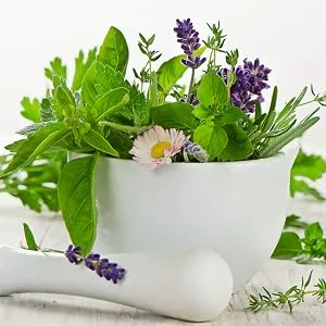 Carlyle Bacopa Monnieri Capsules - 1000 mg - 180 Capsules - product information 4