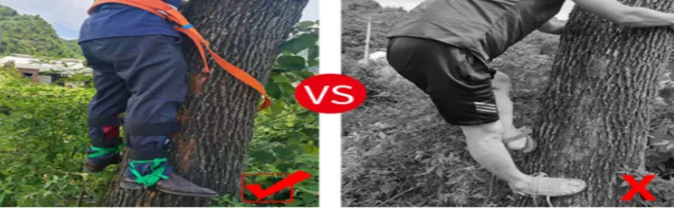 Lfhelper tree climbing equipment tree climbing spike set 250kg/551LB load climbing trees artifact climbing spike set tree climbing tools rising iron with safety belts for fruit harvest hunting - Klettern Sie aufrecht auf Bäume