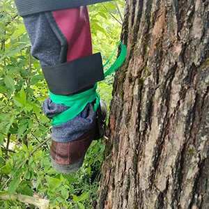 Lfhelper tree climbing equipment tree climbing spike set 250kg/551LB load climbing trees artifact climbing spike set tree climbing tools rising iron with safety belts for fruit harvest hunting - sicher