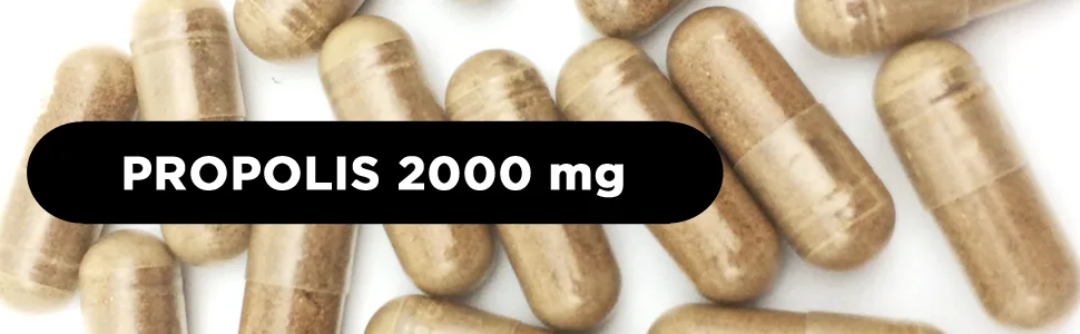 Propolis 2000 mg.180 vegan capsules for 6 months.Propolis extracts with 10% galangin Echinacea with 4% polyphenols and eucalyptus.For the immune system and the airways - Propolis 2000 mg HIVITAL