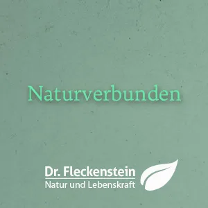 Dr.Fleckenstein green tea extract highly concentrated.Dietary supplements with EGCG & Piperin decaffeinated top bioavailability stomach stomach stable - Dr Fleckenstein Naturverbunden