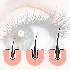Eyecatcha vegan |Premium eyelash serum for long eyelashes |Made in Germany |Test winner |Eyelash Booster |Eyelash booster for fast growth - wimpernwachstum-testsieger eyecatcha-wimpernwachstum lange-wimpern