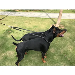 Yangbaga Double -adjustable 360 rotatable dog leash for 2 dogs - reflective elastic leash to walk jogging - for small medium -sized and large dogs (small black) small black - product information 3