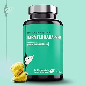 Dr. Fleckenstein intestinal flora capsules dietary supplement with 10 billion live intestinal bacteria vegan 90 capsules - Darmflorakapseln