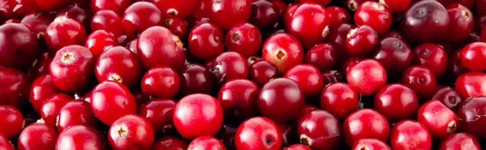 Vincent Family Dried Cranberries With Unsweetened Apple Juice - 9.5 Oz - product information 1