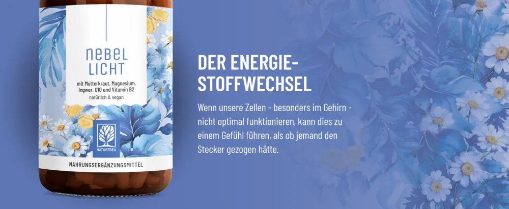 NaturTreu foglicht - maternity cabbage complex high -dose 1260 mg per day - complex with ginger magnesium coenzyme Q10 & vitamin B2 - natural and vegan - Nebellicht Mutterkrautblüten mit Vitamin B2 und Magnesium Energiestoffwechsel