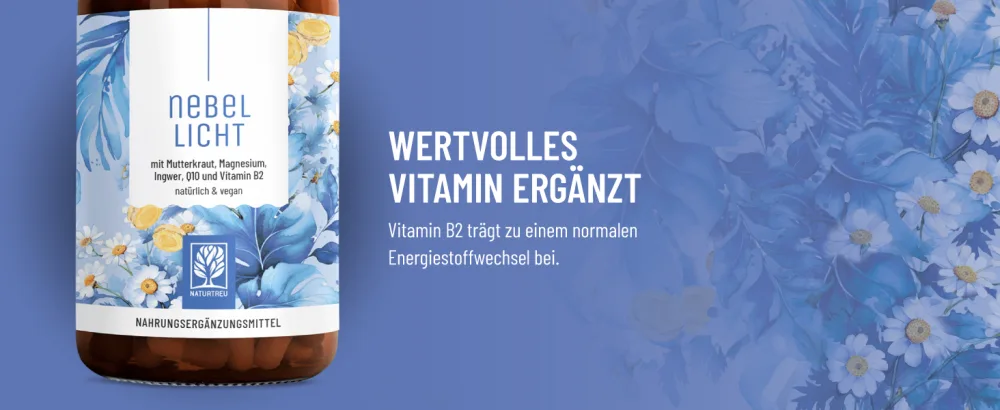NaturTreu foglicht - maternity cabbage complex high -dose 1260 mg per day - complex with ginger magnesium coenzyme Q10 & vitamin B2 - natural and vegan - Nebellicht Mutterkrautblüten mit Vitamin B2 und Magnesium wertvolle Vitamine