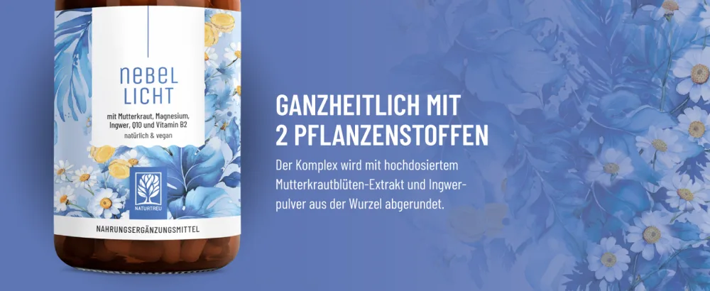 NaturTreu foglicht - maternity cabbage complex high -dose 1260 mg per day - complex with ginger magnesium coenzyme Q10 & vitamin B2 - natural and vegan - Nebellicht Mutterkrautblüten mit Vitamin B2 und Magnesium ganzheitliche Pflanzenstoffe