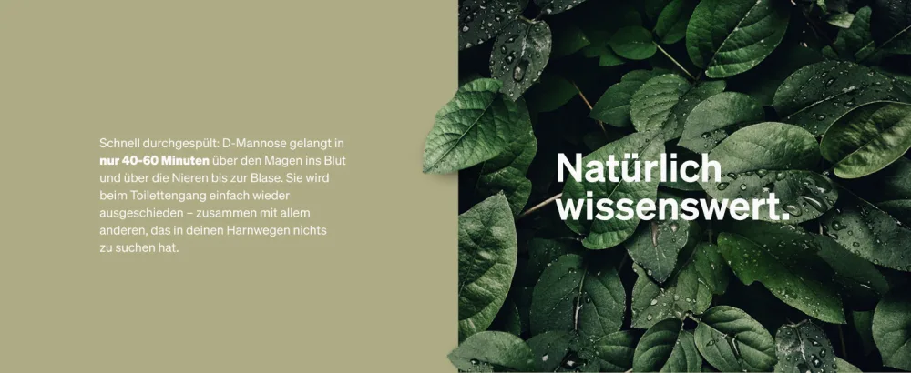 Cultures Complex with D-Mannose-powder (90 grams) for dissolving in water-4 lactobacterial tribes-4 billion KBE-with dosing spoon-vegan high-dose without unnecessary additives- - Flora-21 plus D-Mannose Pulver