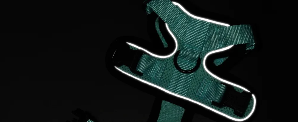 Rabbitgoo cat dishes with a line software for cat breastware cat harness cat sets out of breakage -proof. - katzengeschirr