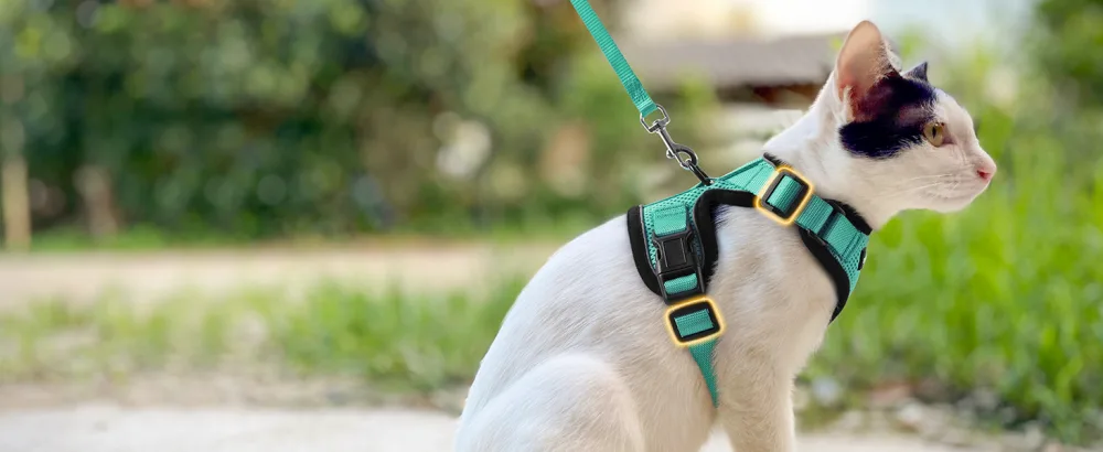 Rabbitgoo cat dishes with a line software for cat breastware cat harness cat sets out of breakage -proof. - katzengeschirr
