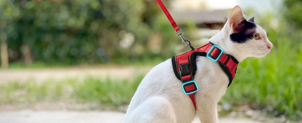 Rabbitgoo cat dishes with leash red soft harness for cat breastware cat harness cat sets out of breakout. - katzengeschirr