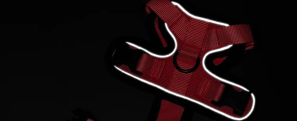 Rabbitgoo cat dishes with leash red software for cat chest harness cat harness cat sets out of breakout. - katzengeschirr
