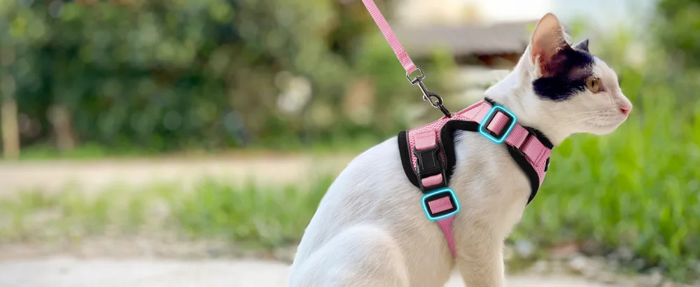 Rabbitgoo cat dishes with leash software for cat chest harness Cat harness cat sets. - katzenegeschirr