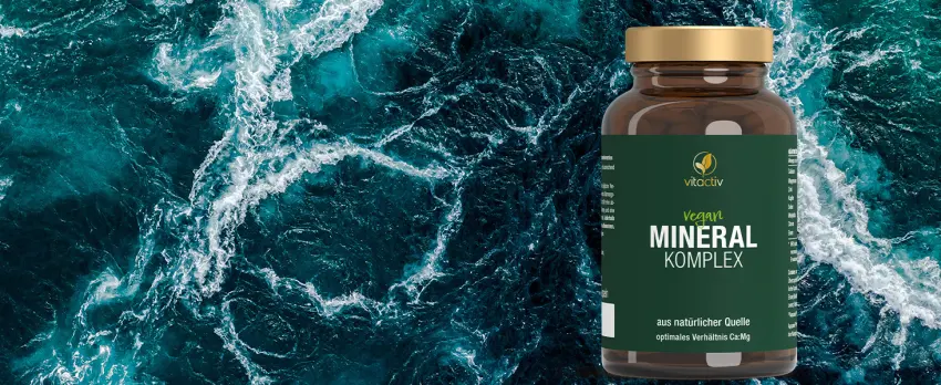 Vitaciv mineral complex - brand raw material Aquamine Marines Calcium & Magnesium (2: 1) - Basic minerals & trace elements with zinc for acid -base metabolism - vegan high dose 120 capsules - Mineral Komplex