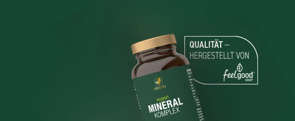 Vitaciv mineral complex - brand raw material Aquamine Marines Calcium & Magnesium (2: 1) - Basic minerals & trace elements with zinc for acid -base metabolism - vegan high dose 120 capsules - Mineral Komplex