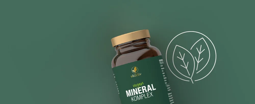Vitaciv mineral complex - brand raw material Aquamine Marines Calcium & Magnesium (2: 1) - Basic minerals & trace elements with zinc for acid -base metabolism - vegan high dose 120 capsules - Mineral Komplex