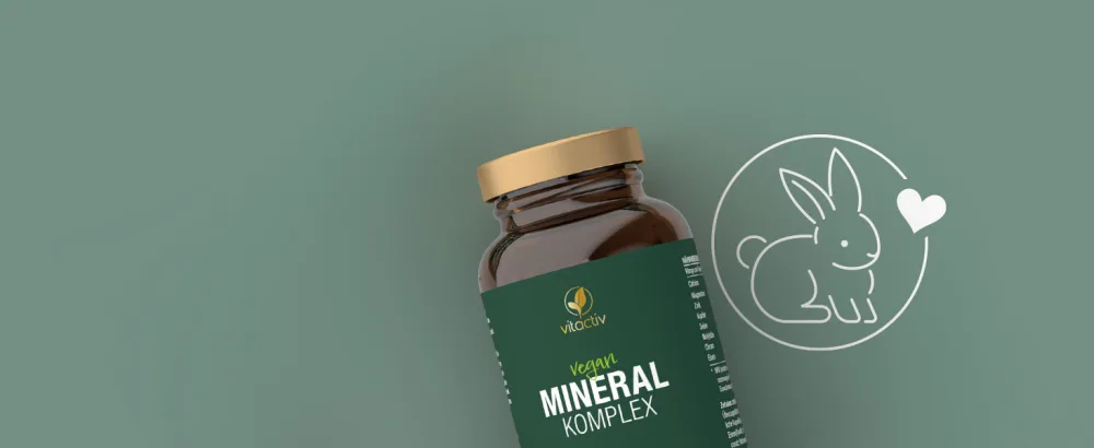Vitaciv mineral complex - brand raw material Aquamine Marines Calcium & Magnesium (2: 1) - Basic minerals & trace elements with zinc for acid -base metabolism - vegan high dose 120 capsules - Mineral Komplex