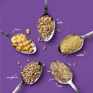 Multi Grain Cheerios Breakfast Cereal - Multi Grain - 18 Oz. - Five spoons holding whole grains to show how Multi Grain Cheerios is made with five whole grains.