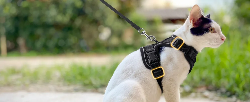 Rabbitgoo cat dishes with leash black soft harness for cat breastware cat harness cat sets out of breakout. - katzengeschirr