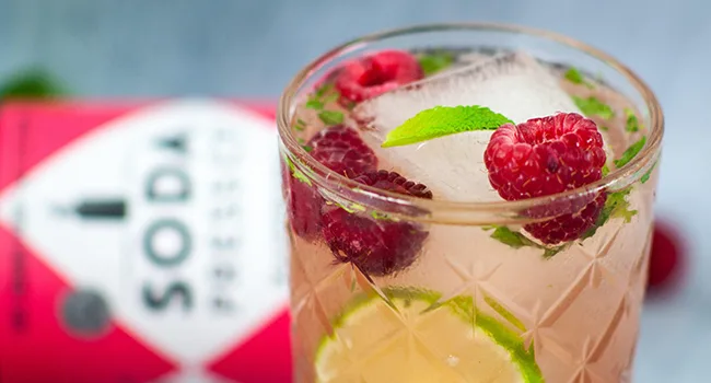 sodastream Soda Press Organic Ale Flavor Mix Ginger 16.9 Fl Oz - Virgin Raspberry Mint Mojito