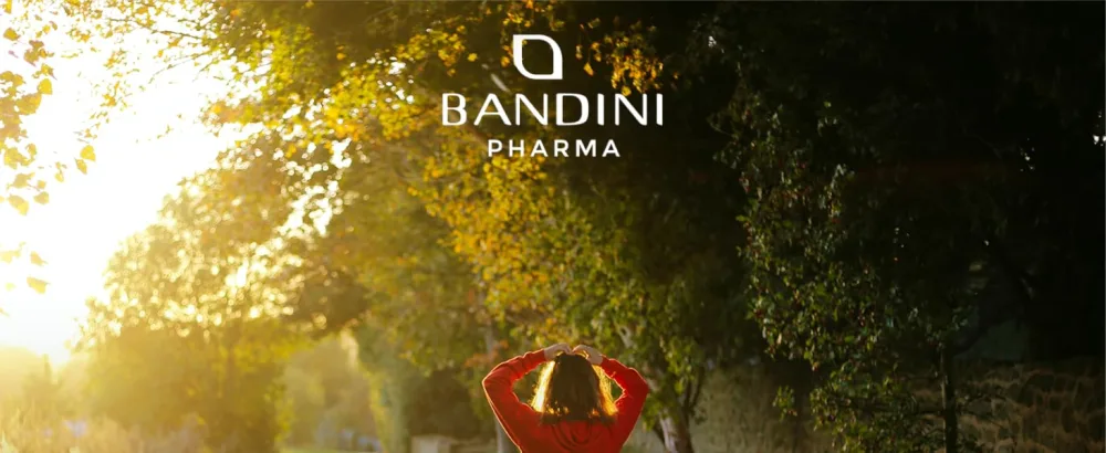 Bandini MSM |2000mg methylsulfonylmethan + vitamin C per daily dose |200 tablets |Compact MSM powder than with capsules |Without a magnesium stearate high -dose vegan without additives laboratory test - Bandini