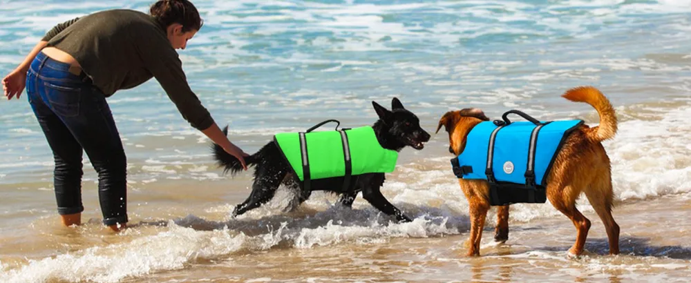 Vivaglory Ripstop Dogs Lifeguard For Small Medium Boat Dog Wallpage with improved buoyancy & visibility Cyan M: 53-63cm (chest circumference) Cyan - dog float jacket