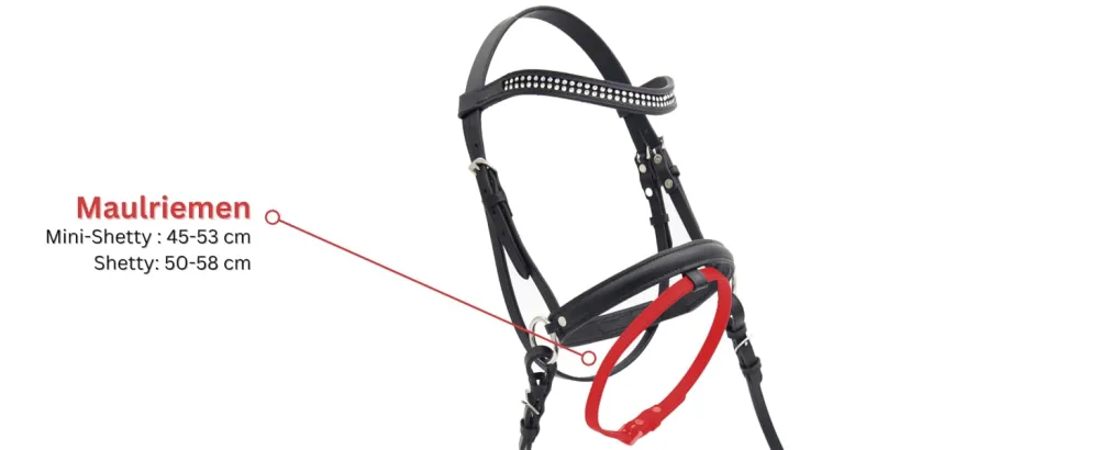 PFIFF 103031 Bridle Lilly high-quality bridle suitable for toy horses Black Mini-Shetty Mini Shetty Black - product information 2