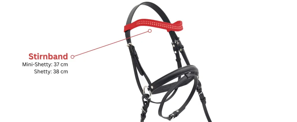 PFIFF 103031 Bridle Lilly high-quality bridle suitable for toy horses Black Mini-Shetty Mini Shetty Black - product information 6
