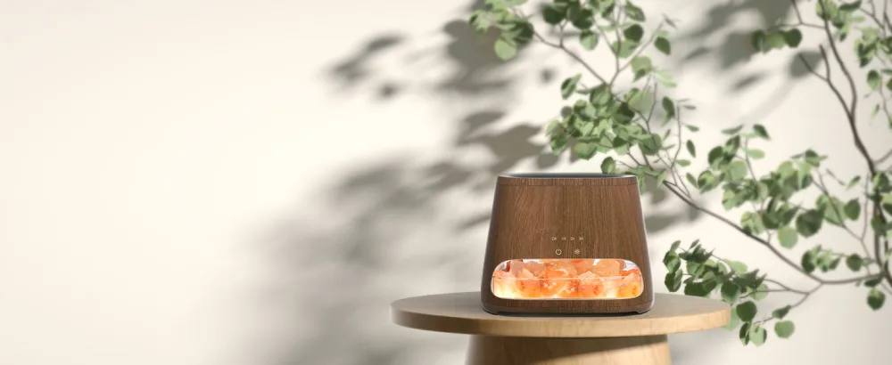 Salking 2-in-1 aroma diffuser & salt range Pakistan light flame effect diffuser for essential oils diffuser cool fog humidifier with 3-brightness 150ml marble - product information 3