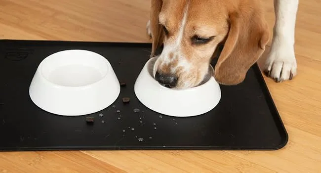 KARALUNA Basic Silikon surface 48x30 cm black I slide -resistant bowl pad for dog bowl katznapf i feed mat dogs cats matt black 48x30cm - KaraLuna Silikonmatte