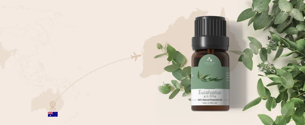 Asakuki 500ml aroma diffuser for essential oils contains 6 essential oils humidifier with a timer automatic shutdown when waterless condition and 7 types of LED light colors with oil - Eukalyptusöl