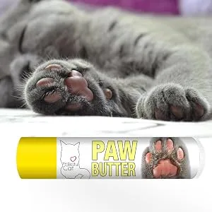 The Blissful Cat Paw Butter - cat paw butter