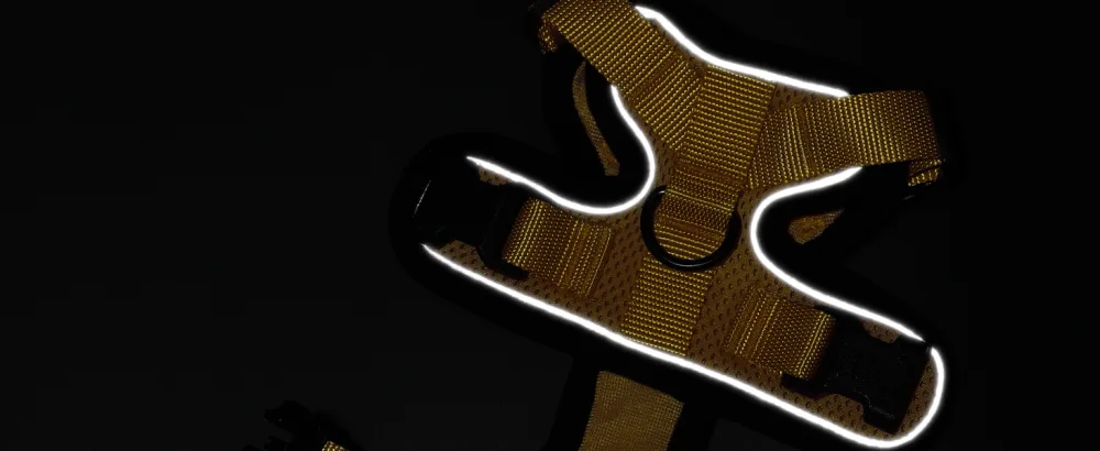 Rabbitgoo cat dishes with a line software for cat breasts cat harness cat sets out of breakage -proof. - katzengeschirr