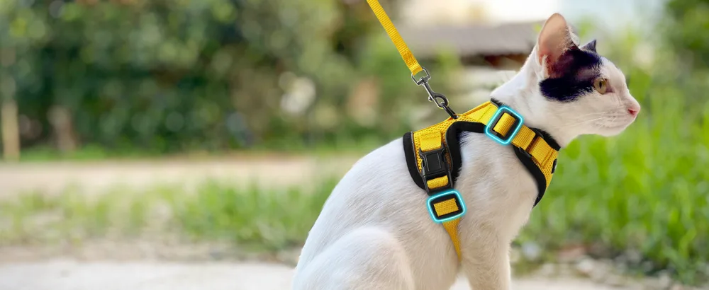 Rabbitgoo cat dishes with a line software for cat breasts cat harness cat sets out of breakage -proof. - katzengeschirr