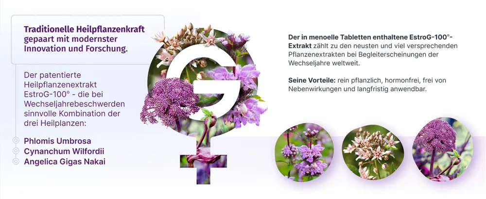 Menoelle menopause tablets vegetable with estrog-100 extract.For hot flashes insomnia and other symptoms.Hormone -free vegan without side effects.60 Tab./ month - menoelle EstroG-100 Tabletten Wechseljahre pflanzlich hormonfrei