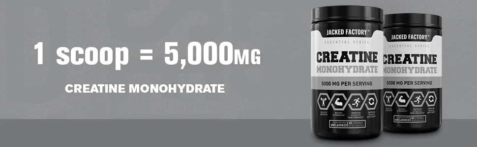 Creatine Monohydrate Powder 5g - Premium Creatine Supplement for Muscle Growth Increased Strength Enhanced Energy Output and Improved Athletic Performance - 85 Servings Unflavored - Creatine Ingredients