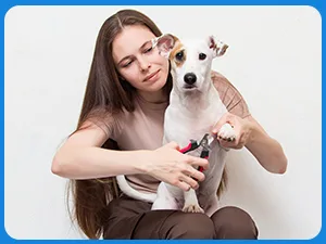 Super collar for pets for pets protective collar neck collars made of plastic Special protection for cats Small dogs S S (Neck: 11.5-12.7 ") White - product information 10