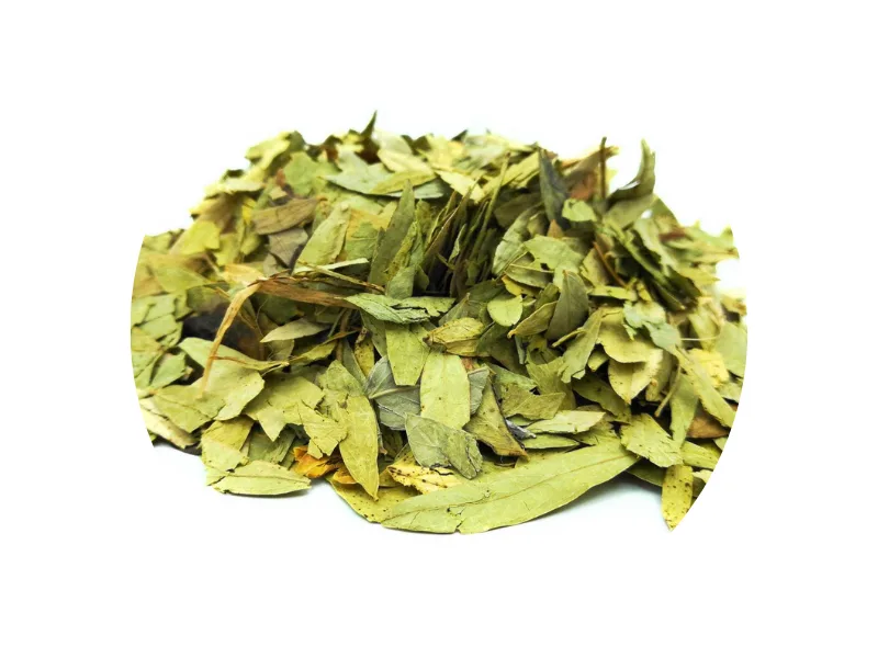 MANASUL Laxative infusion based on Sen Melissa Mint Liquorice and Green Anise. Box of 50 sachets. - Manasul