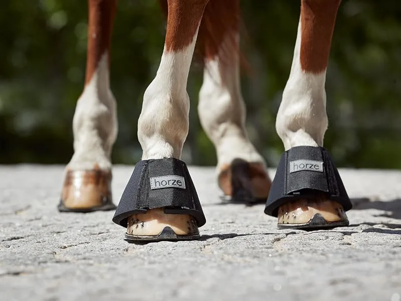 HORZE Horse Bell Boots ProBell Jumping Boots with Velcro Fastener Set of 2 Blue MM Blue - 19764_ProBell