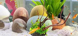 Xpeng Aquarium Home Decor (Retro) - Aquarium Pflanzen