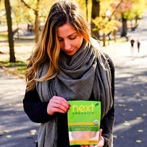 Next Organics Dried Crystallized Ginger 6 oz (Pack of 1) - organic fruit snacks,healthy,paleo,keto friendly,dried mango