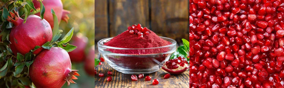 Kopp Vital pomegranate fermented with polyphenoline -rich fermented pomegranate |16 g |30 capsules |Dietary supplement |Fermented natural material fermentation process - Granatapfel