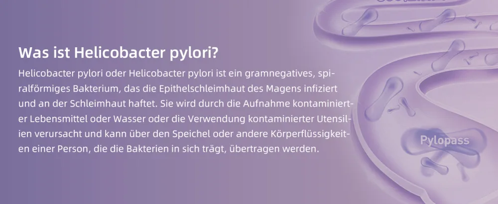Sonnesee Helicobacter pylori chewing tablet pylopass lactobacillus probiotic -with heartburn acidflux stomach complaints -made in germany - product information 8