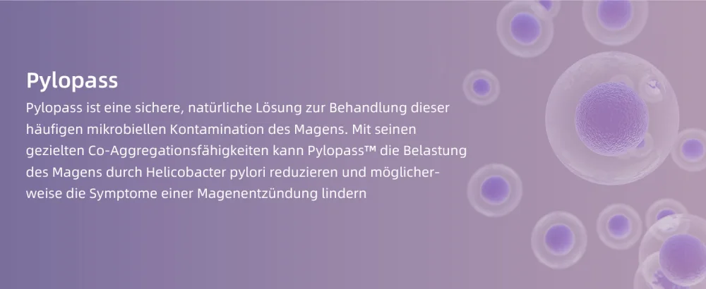 Sonnesee Helicobacter pylori chewing tablet pylopass lactobacillus probiotic -with heartburn acidflux stomach complaints -made in germany - product information 9
