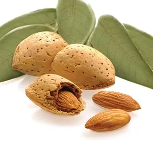 Fisher Snack Oven Roasted Never Fried Mammoth Pecans 17 Ounces Made with Sea Salt Non-GMO No Oils Artificial Ingredients or Preservatives - almonds